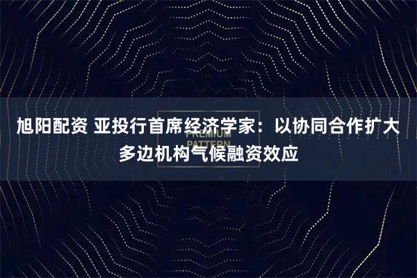 旭阳配资 亚投行首席经济学家：以协同合作扩大多边机构气候融资效应