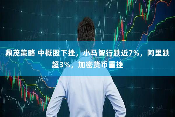 鼎茂策略 中概股下挫，小马智行跌近7%，阿里跌超3%，加密货币重挫