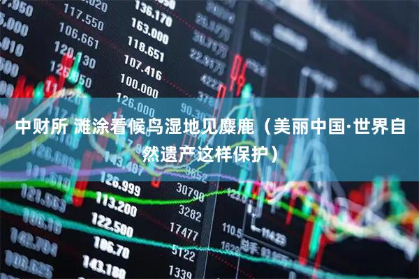 中财所 滩涂看候鸟湿地见麋鹿（美丽中国·世界自然遗产这样保护）